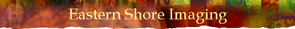 Eastern Shore Imaging